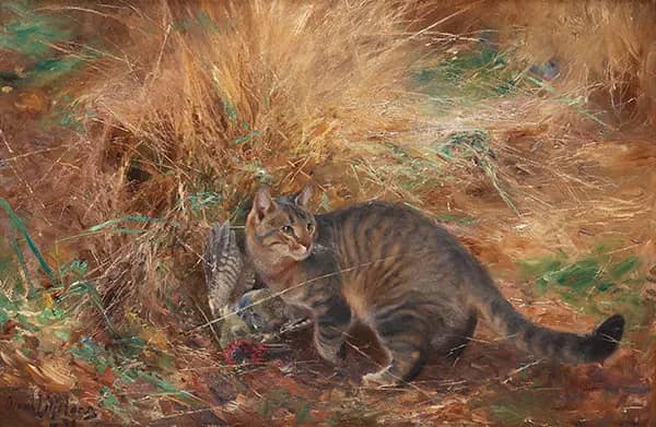 Cat with European Green Woodpecker | Oil Painting Reproduction