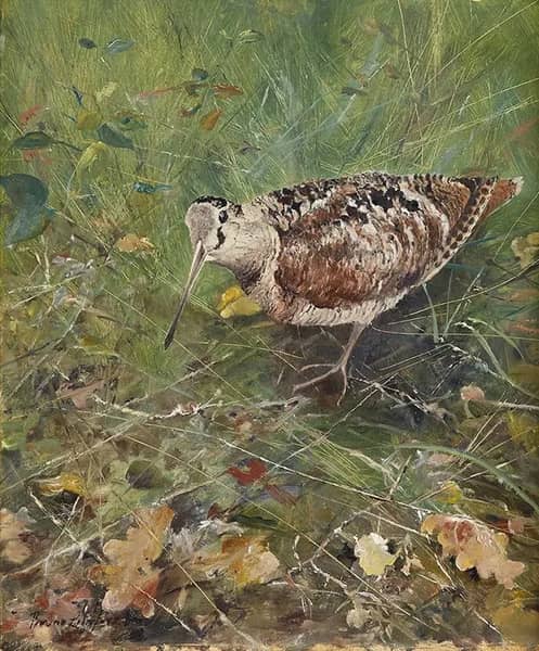 Eurasian Woodcock by Bruno Liljefors | Oil Painting Reproduction