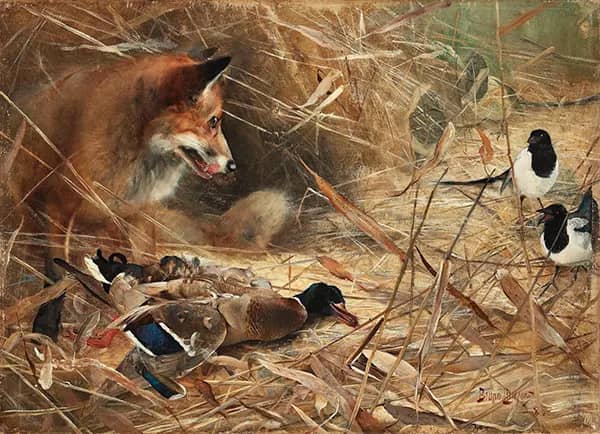 Fox and Magpies 1885 by Bruno Liljefors | Oil Painting Reproduction