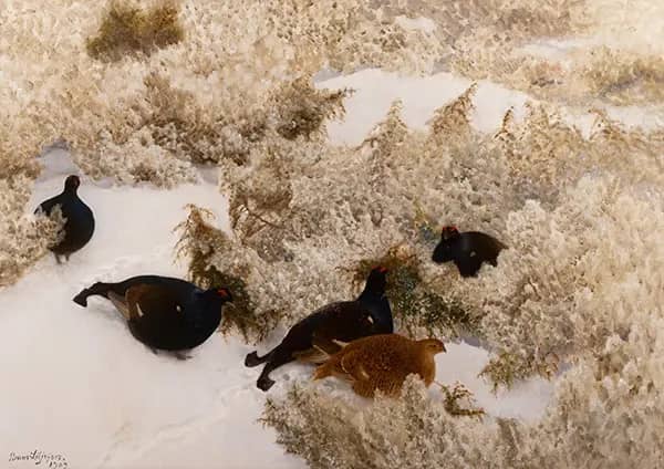 Red Grouse in the Snow 1909 by Bruno Liljefors | Oil Painting Reproduction