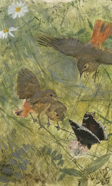 Redstarts and Butterflies 1885 | Oil Painting Reproduction