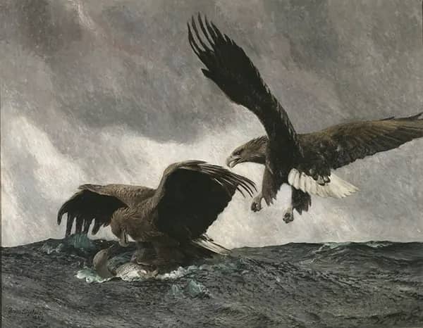 Sea Eagles 1897 by Bruno Liljefors | Oil Painting Reproduction