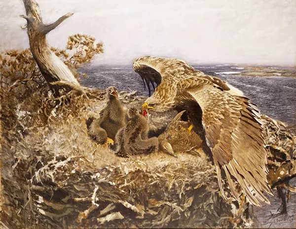 Sea Eagle's Nest 1907 by Bruno Liljefors | Oil Painting Reproduction