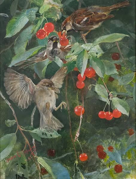 Sparrows in a Cherry Tree by Bruno Liljefors | Oil Painting Reproduction