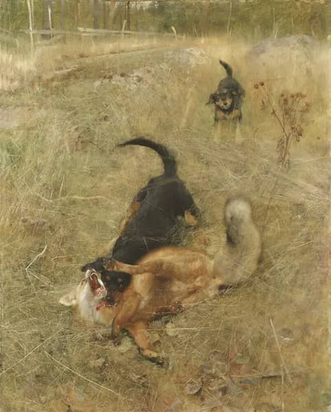 Swedish Foxhound and Fox 1885 | Oil Painting Reproduction