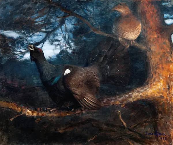 The Mating of the Capercaillies 1895 | Oil Painting Reproduction