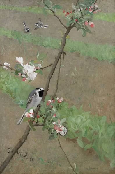 White Wagtails 1884 by Bruno Liljefors | Oil Painting Reproduction