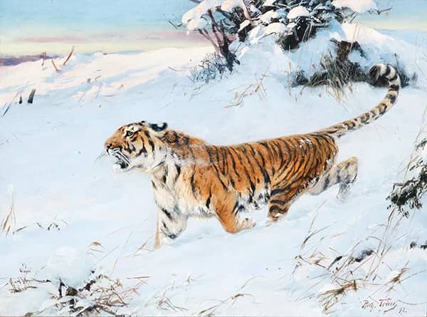 A Tiger in the Snow 1877 by Richard Friese | Oil Painting Reproduction