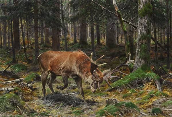 Deer in a Forest Glade 1912 by Richard Friese | Oil Painting Reproduction