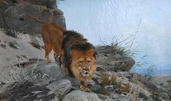 Lion by Richard Friese | Oil Painting Reproduction