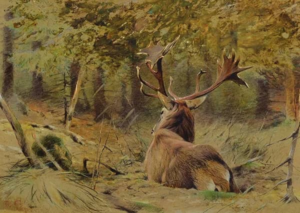 Lying Moose in Forest by Richard Friese | Oil Painting Reproduction