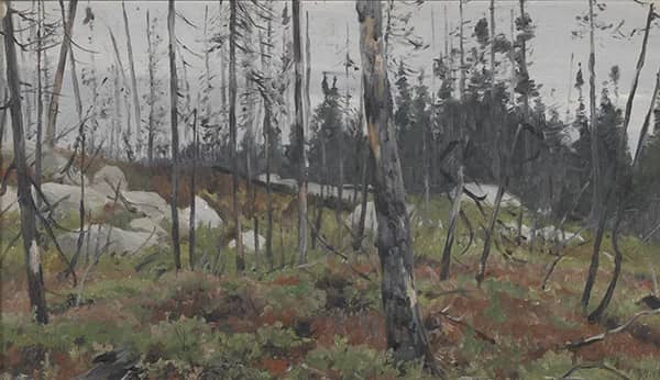 Mixed Forest in Canada 1908 by Richard Friese | Oil Painting Reproduction