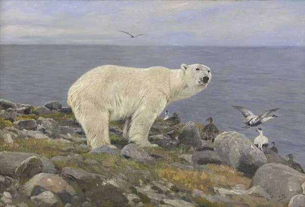 Polar Bear and Eider Ducks on the Coast | Oil Painting Reproduction