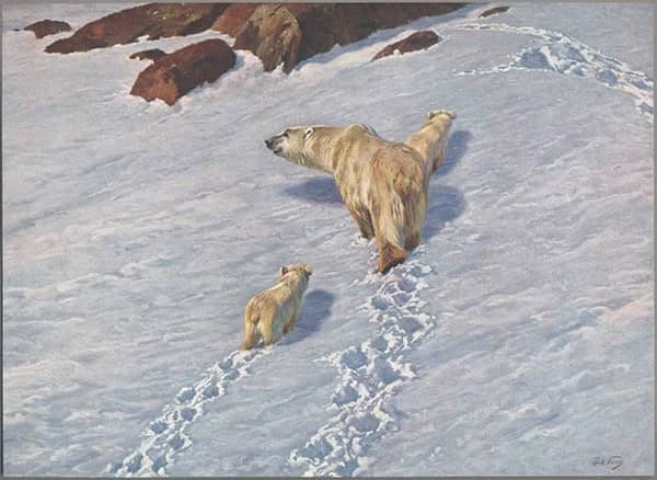 Polar Bear Family by Richard Friese | Oil Painting Reproduction