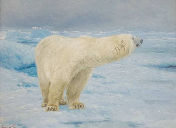 Polar Bear by Richard Friese | Oil Painting Reproduction
