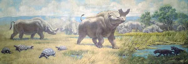 Brontotherium Hyaenodon and Stylemys | Oil Painting Reproduction