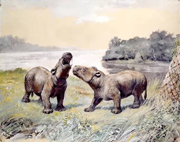 Coryphodon by Charles R Knight | Oil Painting Reproduction