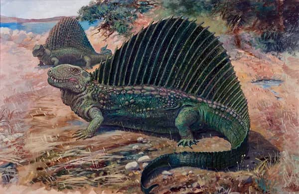 Dimetrodon by Charles R Knight | Oil Painting Reproduction