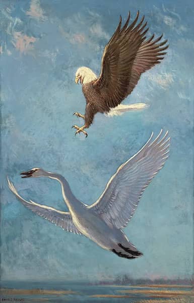 Eagle and Swan by Charles R Knight | Oil Painting Reproduction