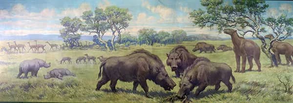 Oxydactylus Menoceras Parahippus Dinohyus and Moropus from the Miocene | Oil Painting Reproduction