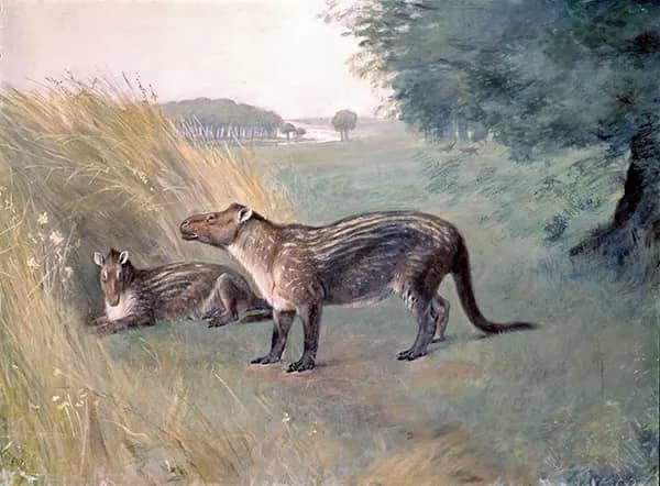 Phenacodus by Charles R Knight | Oil Painting Reproduction