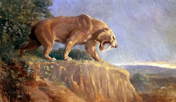 Smilodon 1903 by Charles R Knight | Oil Painting Reproduction