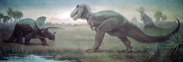 Triceratops and Tyrannosaurus | Oil Painting Reproduction