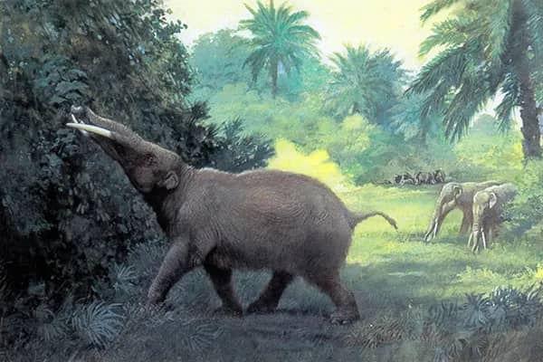 Trilophodon or Mastodon Angustidens | Oil Painting Reproduction