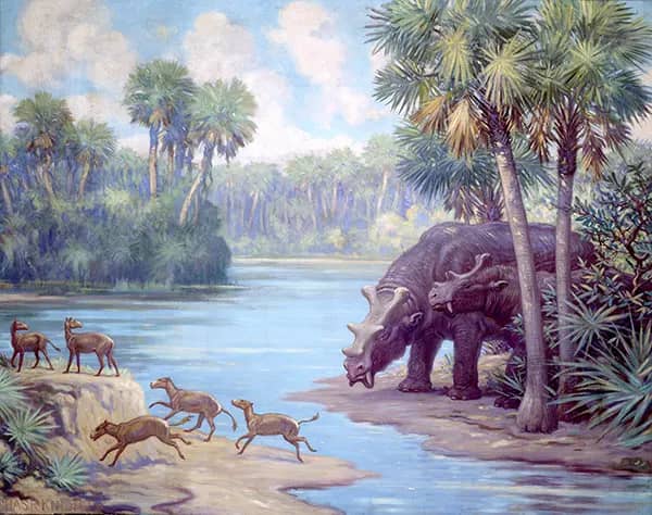 Uintatherium and Orohippus by Charles R Knight | Oil Painting Reproduction