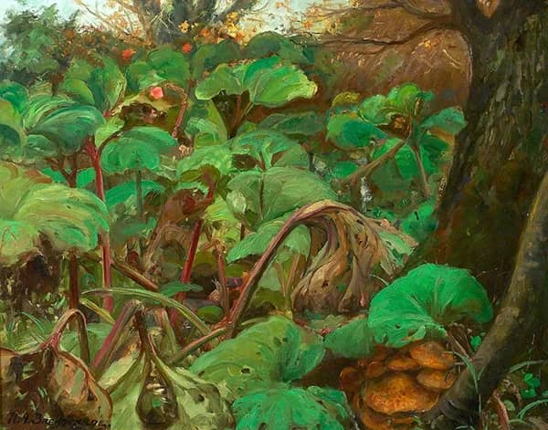 Garden with Rhubarbs at Herlufsholm | Oil Painting Reproduction