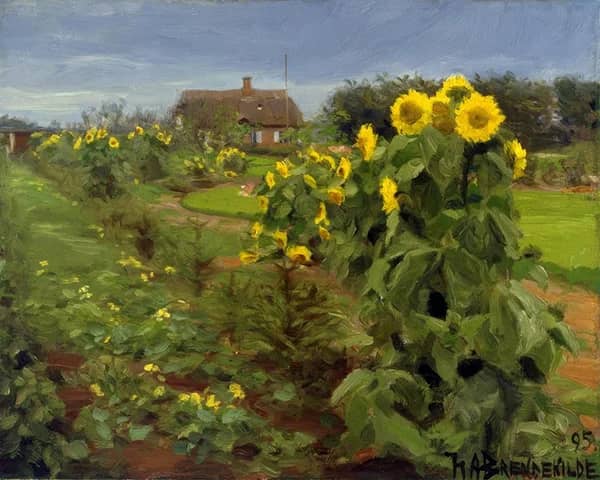 Sunflower Bloom by Hans Andersen Brendekilde | Oil Painting Reproduction