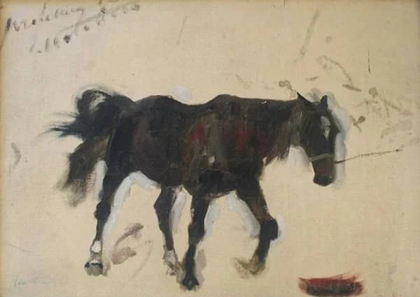 Study of a Horse by Rene Princeteau | Oil Painting Reproduction