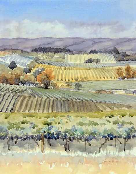 Mclaren Vale Vineyards by Jane Price | Oil Painting Reproduction