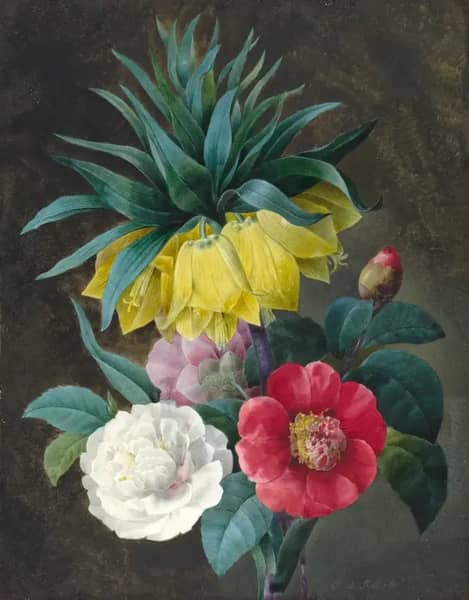 Four Peonies and a Crown Imperial | Oil Painting Reproduction