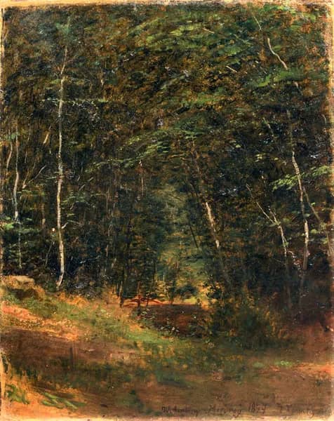 Forest Interior near Misdroy Poland 1877 | Oil Painting Reproduction