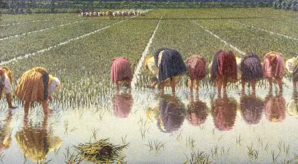 For Eighty Cents by Angelo Morbelli | Oil Painting Reproduction