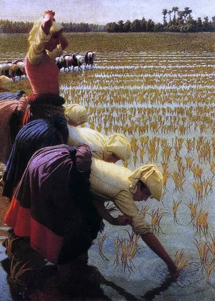 In the Rice Fields 1901 by Angelo Morbelli | Oil Painting Reproduction