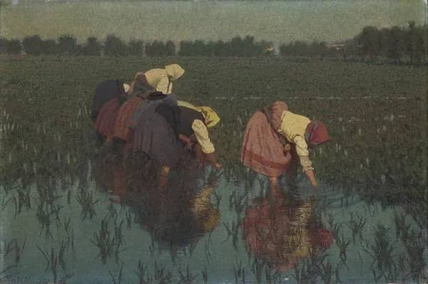 The Rice Seeders 1897 by Angelo Morbelli | Oil Painting Reproduction