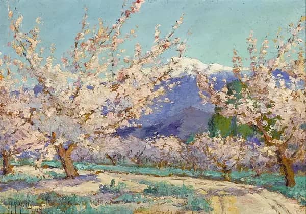 Springtime Almond Trees Banning California | Oil Painting Reproduction