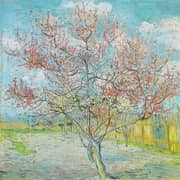Paintings of Spring