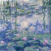 Water Lilies Paintings