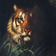 Wildlife Art