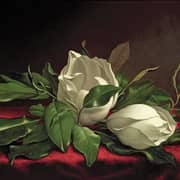 HEADE, Martin Johnson