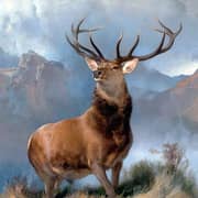 LANDSEER, Edwin Henry