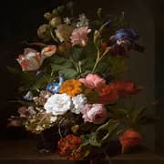 RUYSCH, Rachel