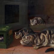 COULDERY, Horatio Henry