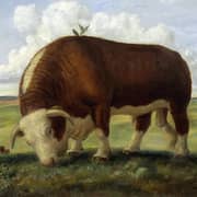 Oil Painting Reproductions of John Steuart Curry