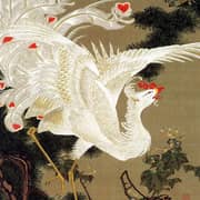 Oil Painting Reproductions of Ito Jakuchu