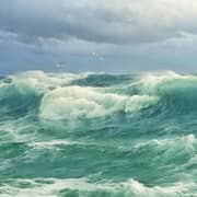 Oil Painting Reproductions of David James