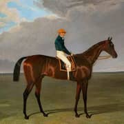 Oil Painting Reproductions of John Frederick Snr Herring